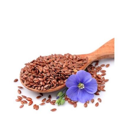 Flax Seeds - 100g / అవిసె గింజలు